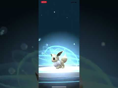 ポケモンgo 色違いイーブイを色違いブラッキーに進化させてみた