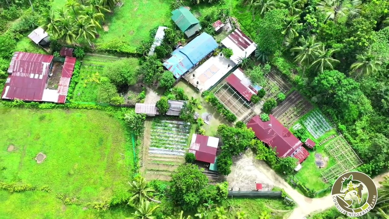 𝗖𝗼𝗾𝘂𝗶𝗹𝗹𝗮 𝗜𝗻𝘁𝗲𝗴𝗿𝗮𝘁𝗲𝗱 𝗙𝗮𝗿𝗺 𝗟𝗼𝗰𝗮𝘁𝗲𝗱 𝗮𝘁 𝗣𝘂𝗿𝗼𝗸 𝟭, 𝗕𝗿𝗴𝘆. 𝗗𝗮𝗻𝗶𝗰𝗼𝗽, 𝗔𝗻𝘁𝗲𝗾𝘂𝗲𝗿𝗮, 𝗕𝗼𝗵𝗼𝗹