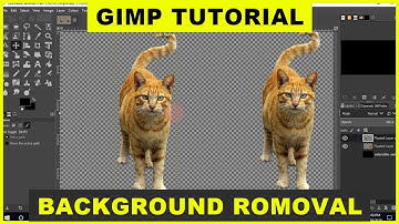 GIMP Tutorial: How to Remove Background from an Image! 🖼️ (Step-by-Step Guide)