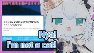 Fubuki Denies Being a Cat in the Cutest Way Possible!!!