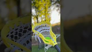Warrior Evo QX-O