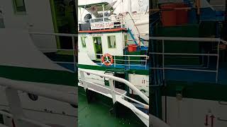 assist tugboat triumphantstar w/ tug rising star,