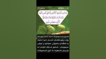 سورة هود اية ٦