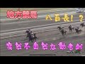 地方競馬でまた八百長か
