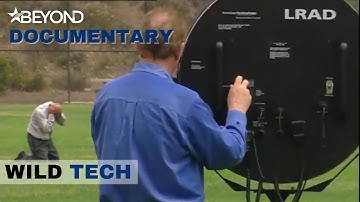 Who Has The Better Attack Tech? | Wild Tech | Beyond Documentary