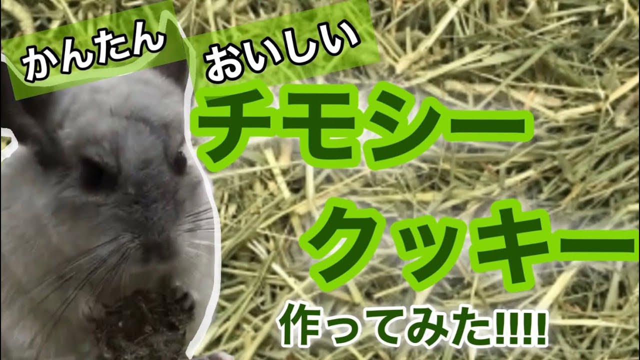 3分クッキング】簡単！美味しい！チモシークッキー！！ - YouTube