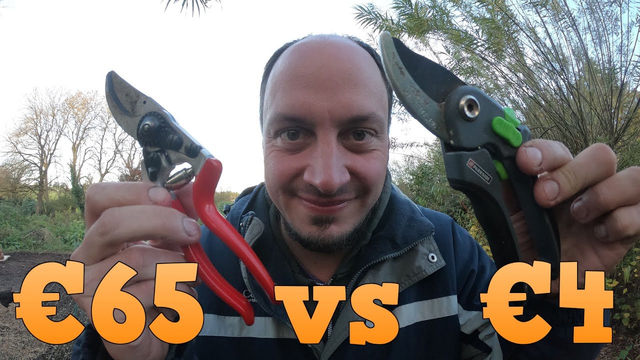 Cheap vs Expensive Secateurs Lidl vs Felco YouTube