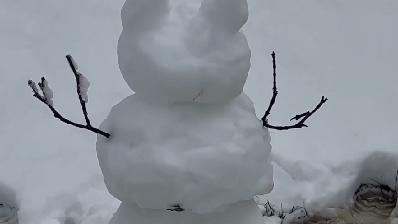 ASMR building a snow cat {nature sounds}