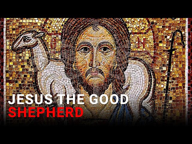 Daily IVE Homilies, April 22 2024 - Jesus the Good Sheperd