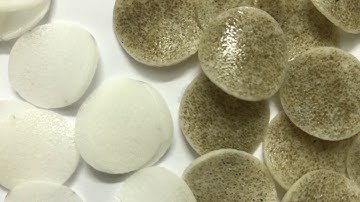 GIÁ THỂ SINH HỌC HEL-X BIO CHIP 3400M2/M3 (GERMANY)