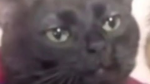 Founded 2 hackers on the same server in Slap Battles...