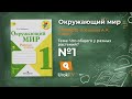 Задание 1 Что общего у разных растений? - Окружающий мир 1 класс (Плешаков А.А.) 1 часть