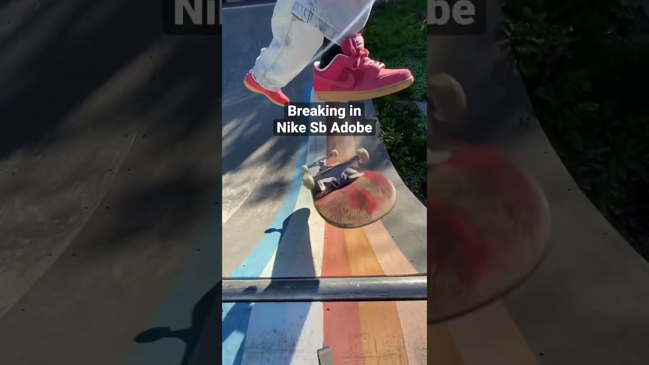 Skating Nike sb Adobe dunk low pro 