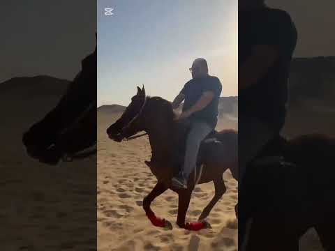 الطلعه فى سقاره بالحصان نمرود من عند كابتن محمود اسماعيل  خيل    