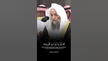 فضيلة الشيخ أ.د. فيصل غزاوي || أفلا يعلم إذا بعثر ما في القبور || سورة العاديات