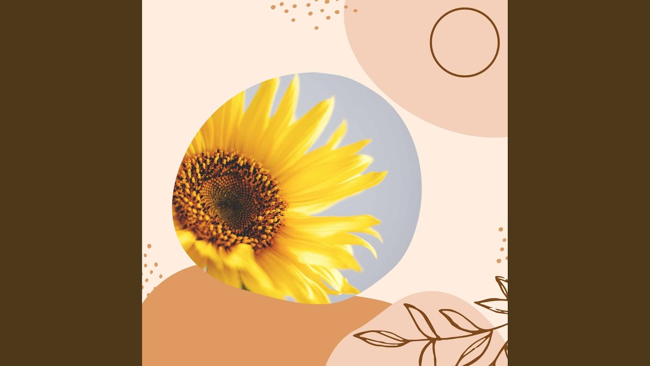 Inspired Backdrops for Infinite Coffee