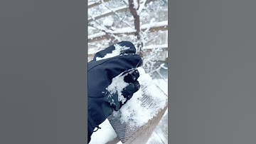 CỬU TRẠI CÂU - THIÊN ĐƯỜNG NƠI HẠ GIỚI