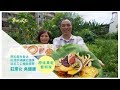 草地狀元-原味果乾藝術家(20160711播出)careermaster / Dried Fruit Artist