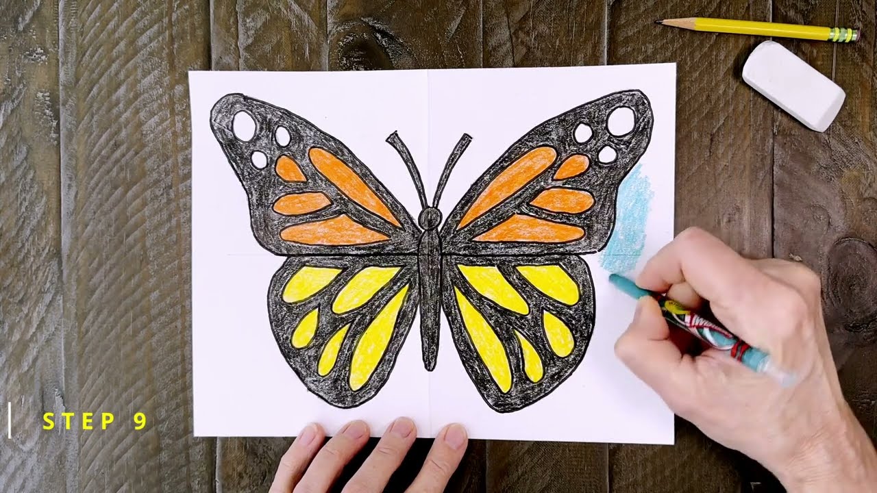How to Draw a Butterfly - YouTube