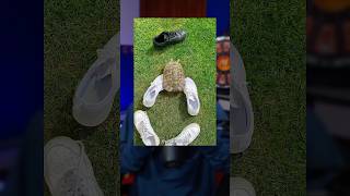 This Tortoise Hates The Color Black 💀