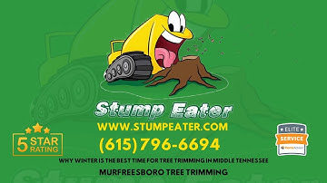 Why Winter is the Best Time for Tree Trimming in Middle Tennessee 🌳❄️