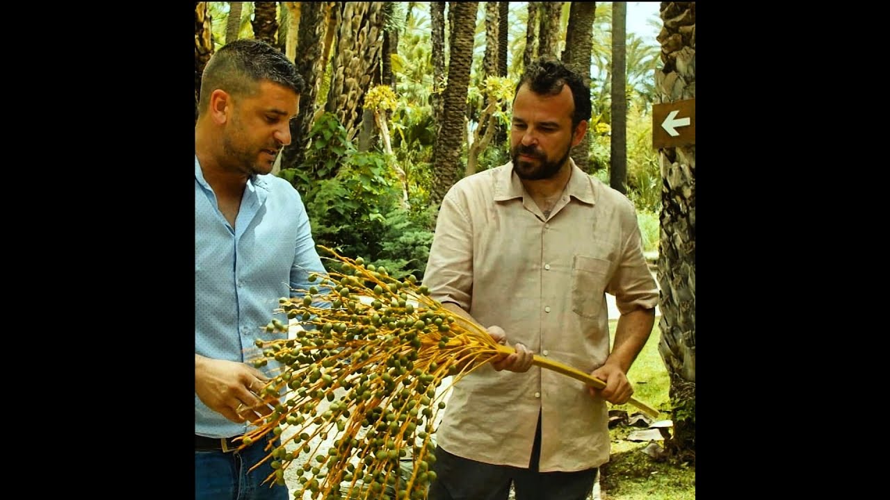 Jardines con Historia TVE2 PALMERAL DE ELCHE