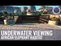 Underwater Viewing Gallery | Malu Zoo | Speed Build | Planet Zoo | Ep. 15