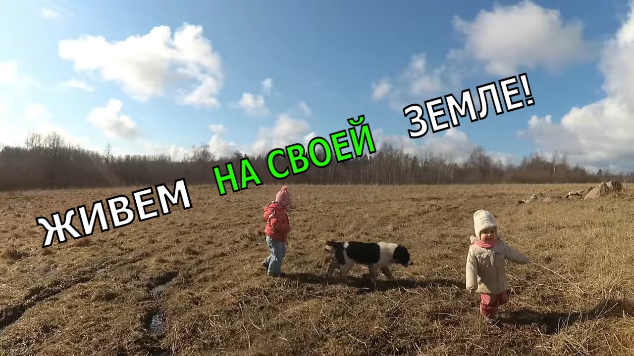 Дни житейские