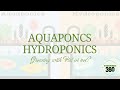 Aquaponics vs Hydroponics: Growing with Fish or not? - hydroponics360.com