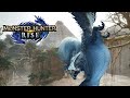 Monster Hunter Rise - Tobi-Kadachi