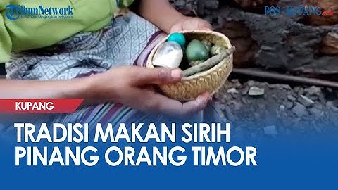 Tradisi Makan Sirih Pinang Orang Timor