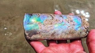💎Ammolite Gem 💎 Jackpot! HUGE Ammonite DeathBed Discovery #MontanaGems by Montana Rock Mom 78,550 views 9 months ago 27 minutes