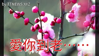愛你，到老……