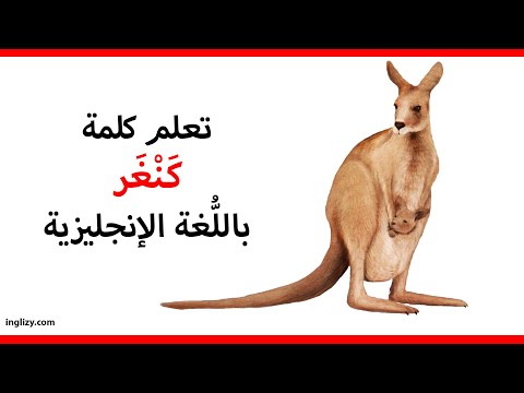 كنغر باللغة الإنجليزية l سلسلة أسماء الحيوانات بالإنجليزية