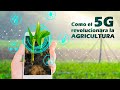 Granjas Verticales y Agricultura Inteligente