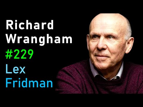 Richard Wrangham: Violence, Sex, and Fire in Human Evolution | Lex Fridman Podcast #229
