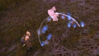 Spinning a Polar Bear Cub