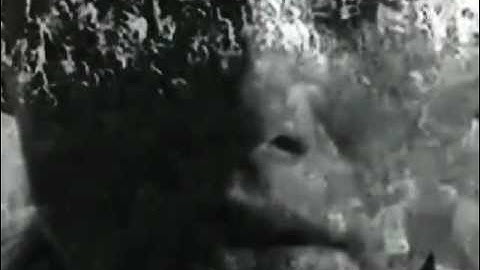 Y|R - Together on Screen