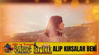 IF THEY TOOK AND BROKE ME - Poetry and Commentary - Bülent Biricik