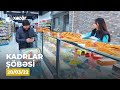 Kadrlar Şöbəsi (55-ci  Seriya)  20.03.2022