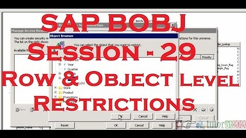 Row Level & Object Level Restrictions - SAP Business Objects Tutorial (BOBJ) 4.0 - Session - 29