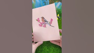Bird Paradise Pop-up Cards