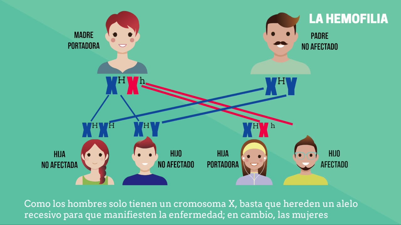 Herencia Ligada Al Sexo Y Genealogia Youtube