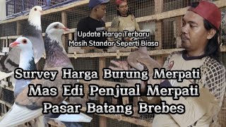 Survey Harga Burung Merpati || Mas Edi Penjual Merpati Pasar Batang Brebes Update Harga Terbaru