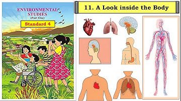 A Look Inside the Body | std 4 | lesson 11 |EVS Part  1 | Maharashtra State Board