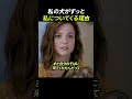 私の犬がずっと私についてくる理由