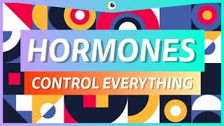 HORMONES CONTROL YOU  Hormones and the endocrine system  Beautiful Science