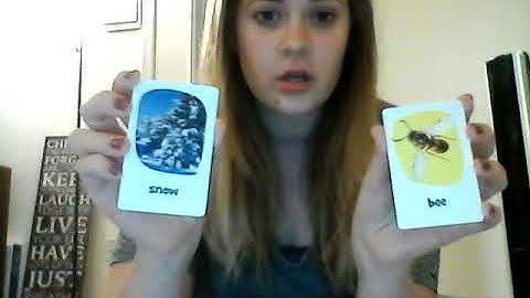 SLP242 Compare/Contrast with Pickles to Penguins game