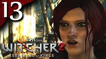 The Witcher 2 Assassin