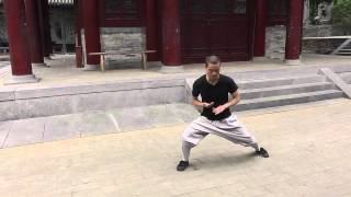 Soft Fist by Master Yandi screenshot 5